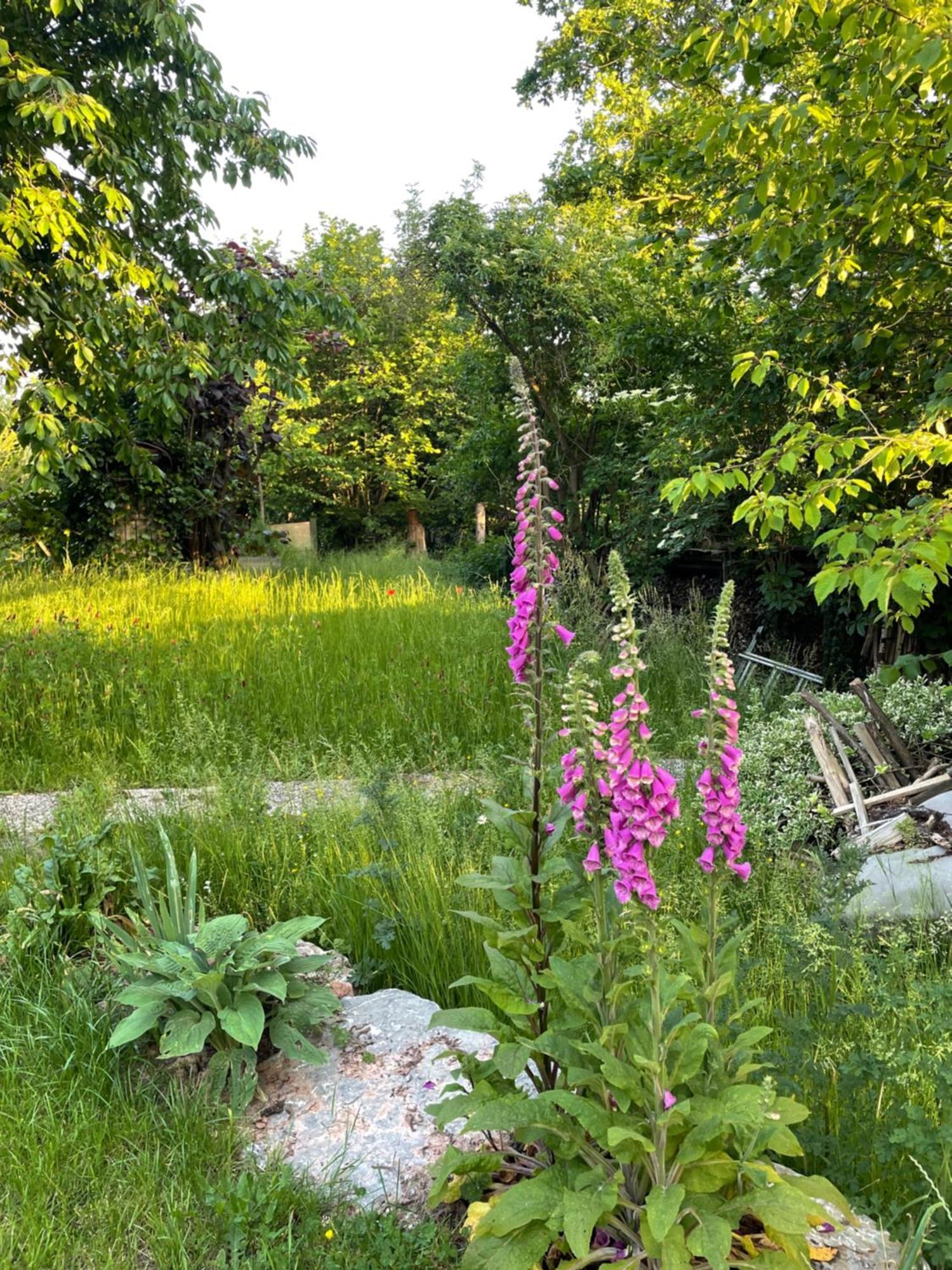 Ferienwohnung Sonnenschein Фульда Экстерьер фото